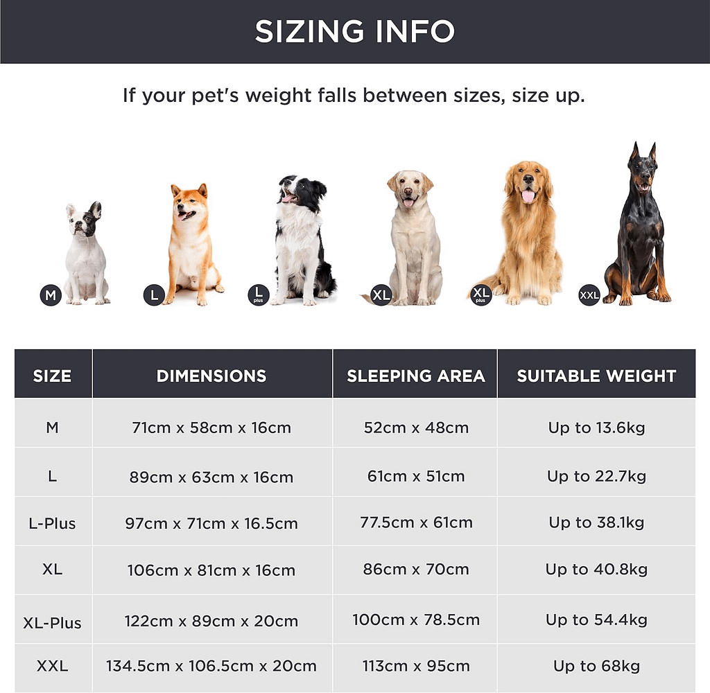 Comment choisir la taille du panier de son chien