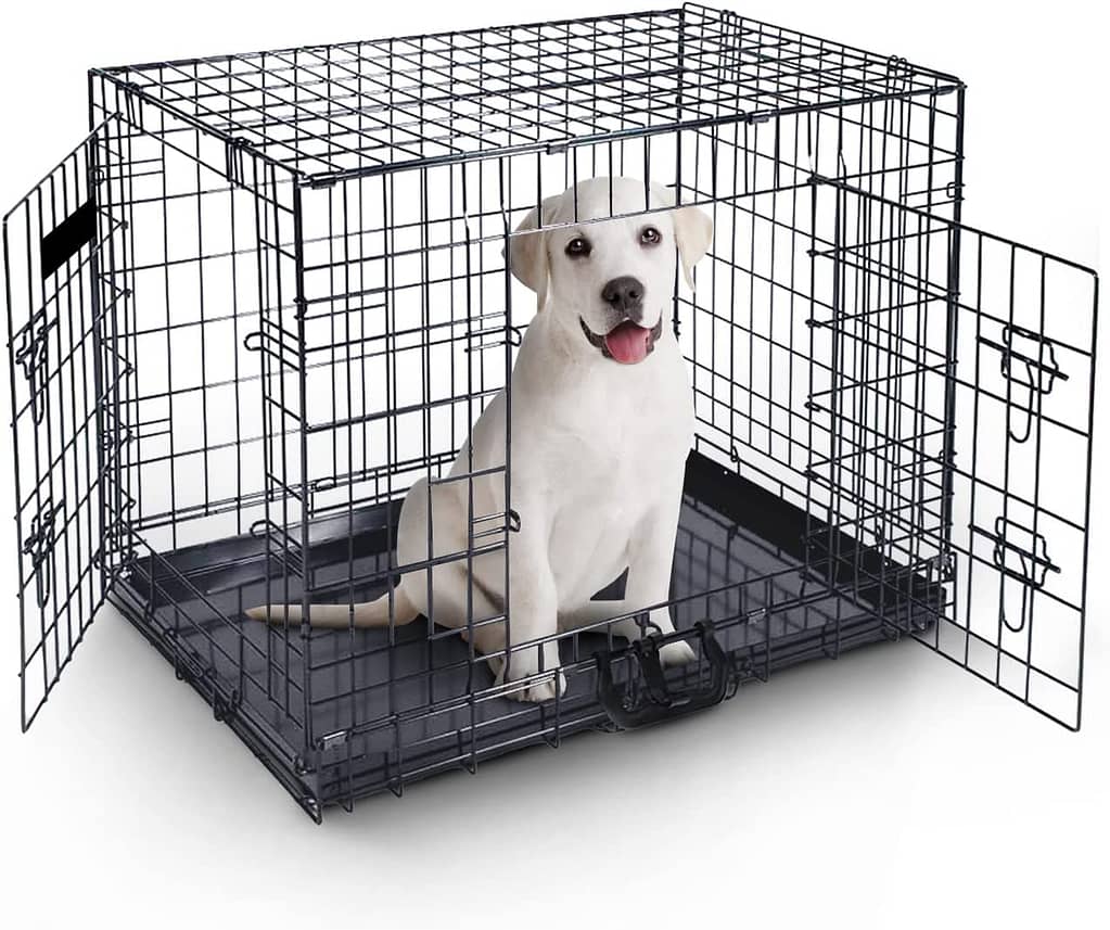 cage éducation chien