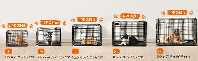 Comment choisir une cage pour chien selon sa race ?