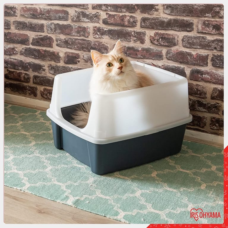 Trouver le meilleur emplacement pour la litière de votre chat dans un appartement