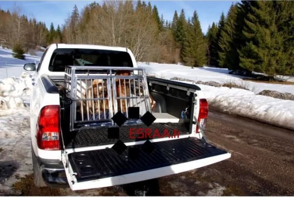 caisse chien pick up benne vierge
