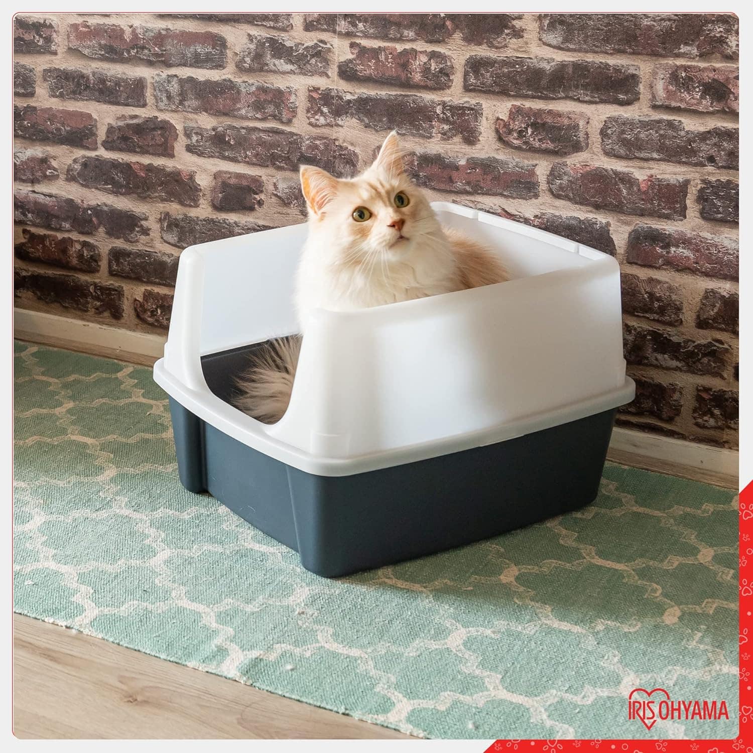 Où mettre la litière du chat dans un appartement