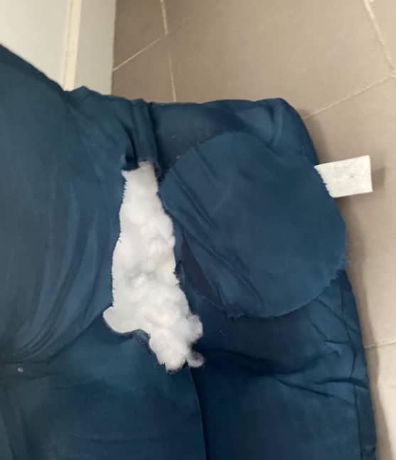 panier déchiqueté par chien destructeur