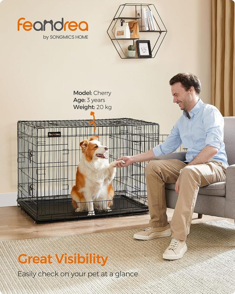 cage chien 107